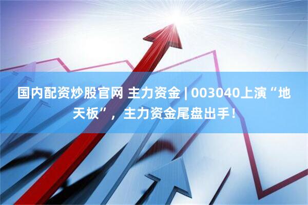 国内配资炒股官网 主力资金 | 003040上演“地天板”，主力资金尾盘出手！