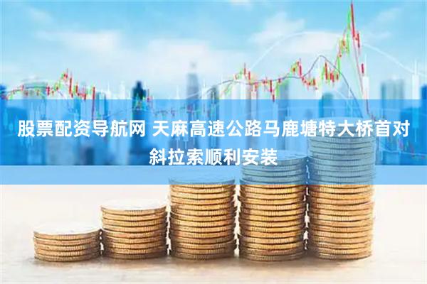 股票配资导航网 天麻高速公路马鹿塘特大桥首对斜拉索顺利安装
