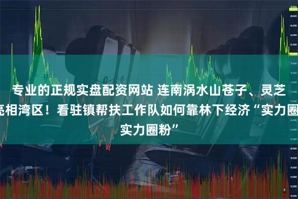 专业的正规实盘配资网站 连南涡水山苍子、灵芝将亮相湾区！看驻镇帮扶工作队如何靠林下经济“实力圈粉”