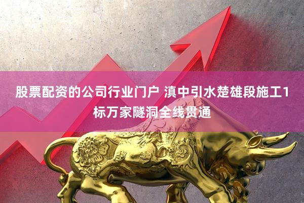 股票配资的公司行业门户 滇中引水楚雄段施工1标万家隧洞全线贯通