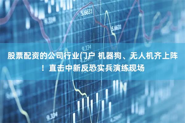 股票配资的公司行业门户 机器狗、无人机齐上阵!直击中新反恐实兵演练现场