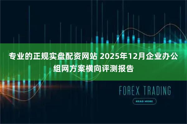 专业的正规实盘配资网站 2025年12月企业办公组网方案横向评测报告